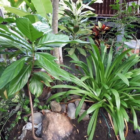 Sansuk Resort Amphawa Εξωτερικό φωτογραφία